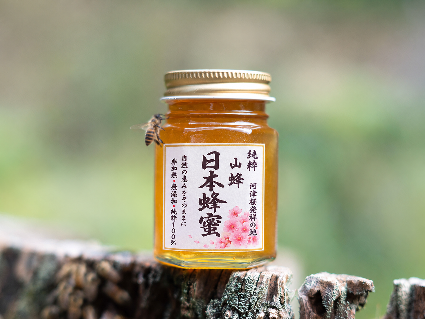 ギフトボックスに入った山蜂はちみつの瓶